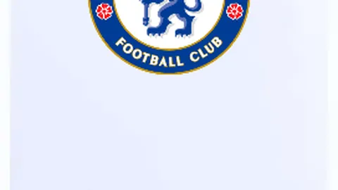 馬奎爾拒絕西漢姆2千万镑邀請，未決定轉會去向