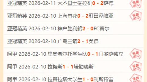 [德甲第24轮]弗赖堡对阵拜仁一役